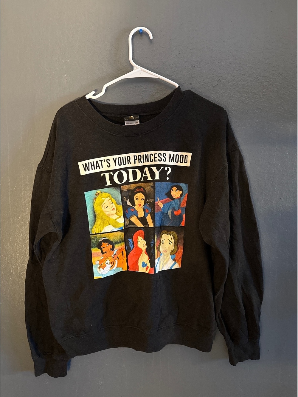 Disney Princess Black Sweatshirt with 'What's Your Princess Mood Today?' Graphic